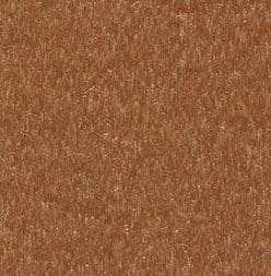 15423-nutmeg(1)