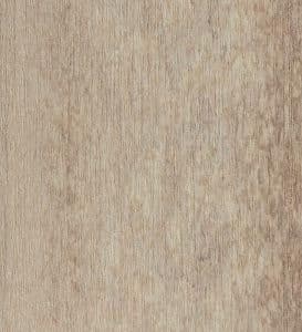 Birch