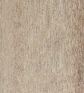 birch-604647_5000x
