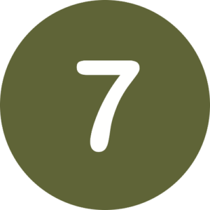 icon 7
